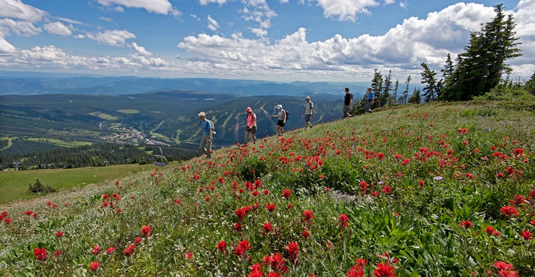 5 Reasons To Visit Sun Peaks in Summer